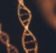 JennyCo Partners With Sequencing.com To Provide Next-Generation DNA Sequencing For Everyone