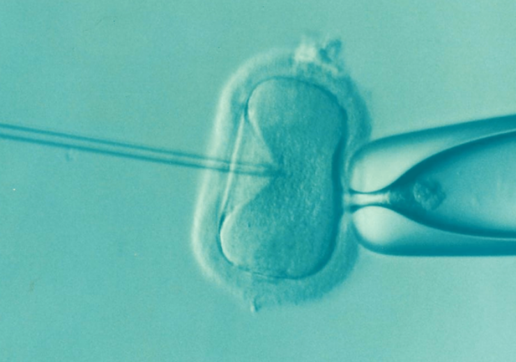 Pilot study supports maternal spindle transfer technique for infertility