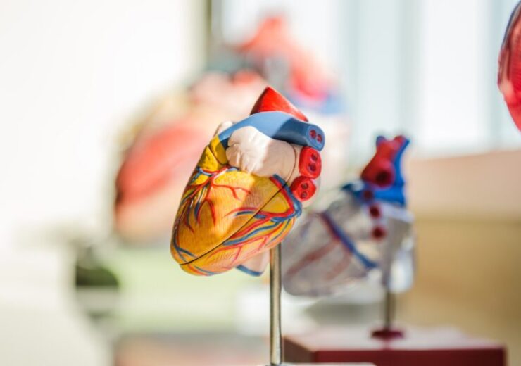 CobiCure grants $2m funding to PolyVascular for paediatric heart valve