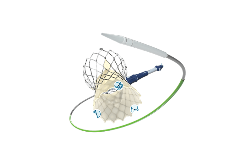 Medtronic secures CE mark for Evolut FX TAVI system to treat severe aortic stenosis