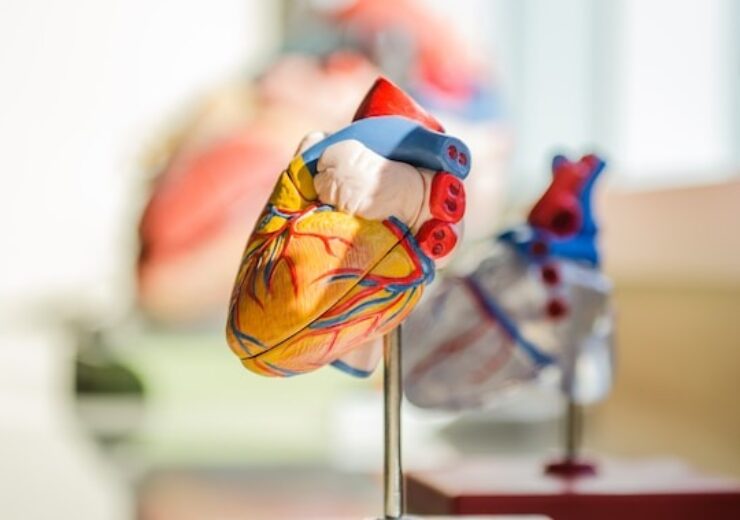 Colibri unveils initial results from EU pilot study of its TAVR system