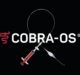 Front Line Medical gets CE Mark for COBRA-OS occlusion device