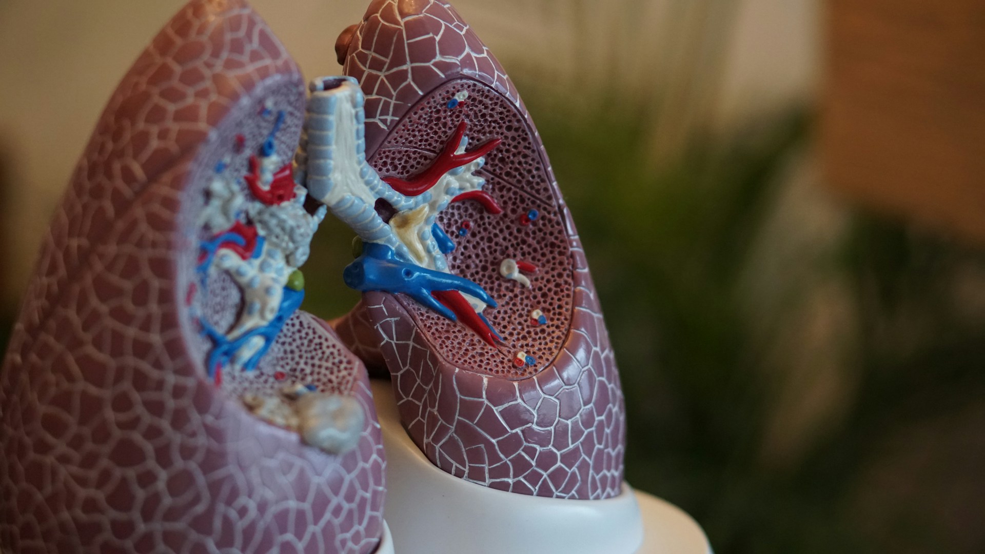 Adherium secures FDA nod for Hailie Smartinhaler for COPD, Asthma